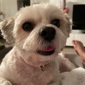 Meet your Posher, Fiore